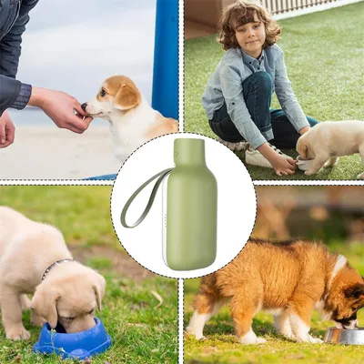 HausPets Bouteille d'eau de 550 ml anti-fuite pour chiens et chats HausPets Bouteille d'eau de 550 ml anti-fuite pour chiens et chats