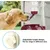 HausPets Wasser-Spender Napf verstellbar Hunde Katzen HausPets Wasser-Spender Napf verstellbar Hunde Katzen