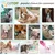 HausPets Trinkflasche 350ml antibakteriell lebensmittelecht HausPets Trinkflasche 350ml antibakteriell lebensmittelecht