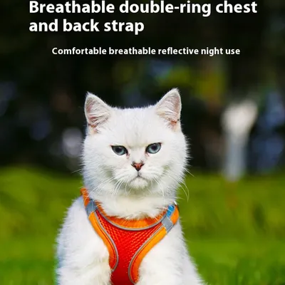 HausPets Harnais Chat Anti-Fuite Maille Douce Réfléchissant 3 Pièces L