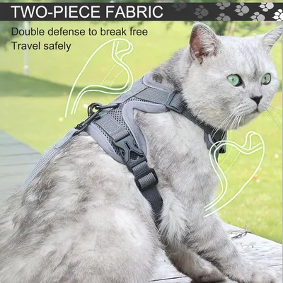 HausPets Harnais Chat Laisse Rétractable 3m Maille Réfléchissant Gris
