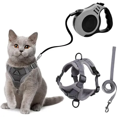 HausPets Harnais Chat Laisse Rétractable 3m Maille Réfléchissant Gris
