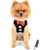 HausPets Harnais Chat Chien Nœud Papillon Maille Anti-Fugue Noir S HausPets Harnais Chat Chien Nœud Papillon Maille Anti-Fugue Noir S