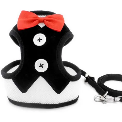HausPets Harnais Chat Chien Nœud Papillon Maille Anti-Fugue Noir S HausPets Harnais Chat Chien Nœud Papillon Maille Anti-Fugue Noir S