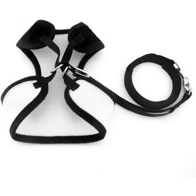 HausPets Harnais Chat Chien Nœud Papillon Maille Anti-Fugue Noir S HausPets Harnais Chat Chien Nœud Papillon Maille Anti-Fugue Noir S