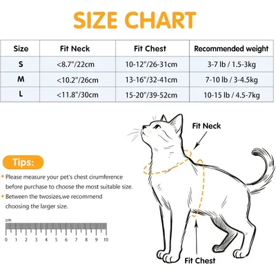 HausPets Harnais Chat Chien Nœud Papillon Maille Anti-Fugue Noir S HausPets Harnais Chat Chien Nœud Papillon Maille Anti-Fugue Noir S
