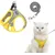 HausPets Harnais Chat Veste Maille Réglable Laisse 150cm Sécuritaire