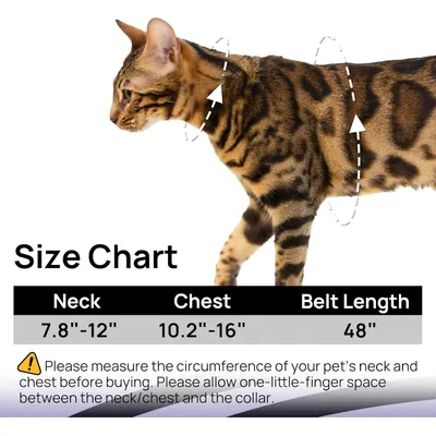 HausPets Harnais Chat Veste Maille Réglable Laisse 150cm Sécuritaire