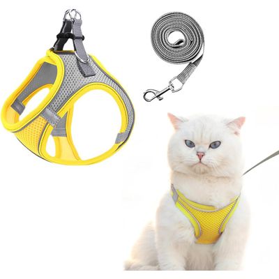 HausPets Harnais Chat Veste Maille Réglable Laisse 150cm Sécuritaire