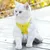 HausPets Harnais Chat Veste Maille Réglable Laisse 150cm Sécuritaire