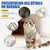 HausPets Harnais Chat Chien Laisse 255cm Maille Réfléchissant Beige