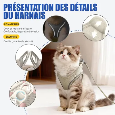 HausPets Harnais Chat Chien Laisse 255cm Maille Réfléchissant Beige