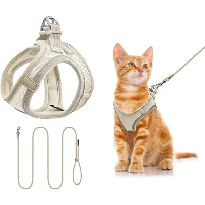 HausPets Harnais Chat Chien Laisse 255cm Maille Réfléchissant Beige
