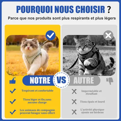 HausPets Harnais Chat Chien Laisse 255cm Maille Réfléchissant Beige