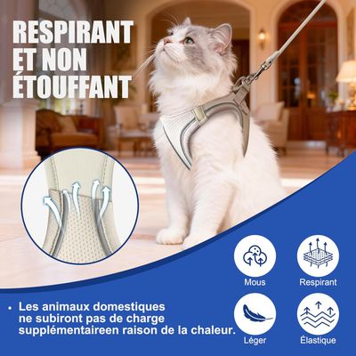 HausPets Harnais Chat Chien Laisse 255cm Maille Réfléchissant Beige