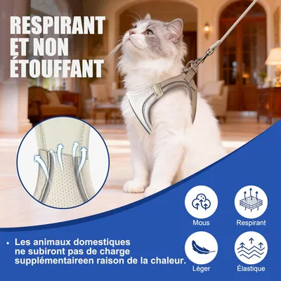 HausPets Harnais Chat Chien Laisse 255cm Maille Réfléchissant Beige