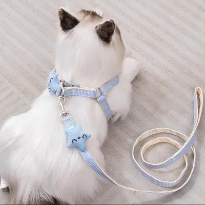 HausPets 2x Katzengeschirr Leine Sterne Verstellbar Rosa Blau