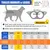 HausPets 2x Harnais Chat Chien Laisse Étoiles Réglable Rose Bleu