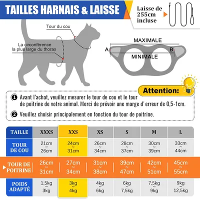 HausPets 2x Harnais Chat Chien Laisse Étoiles Réglable Rose Bleu