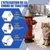 HausPets 2x Harnais Chat Chien Laisse Étoiles Réglable Rose Bleu