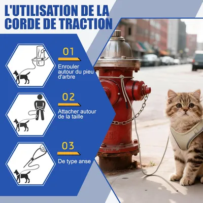 HausPets 2x Harnais Chat Chien Laisse Étoiles Réglable Rose Bleu