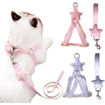 HausPets 2x Harnais Chat Chien Laisse Étoiles Réglable Rose Bleu