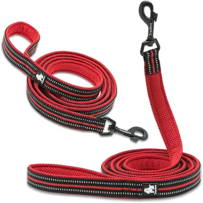 HausPets Laisse nylon 110cm rouge entraînement