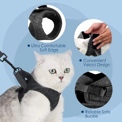 HausPets Harnais Chat Chien Laisse Réglable Gilet Respirant Noir S