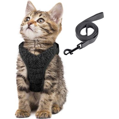 HausPets Harnais Chat Chien Laisse Réglable Gilet Respirant Noir S