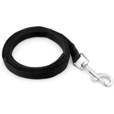 HausPets Harnais Chat Chien Laisse Réglable Gilet Respirant Noir S