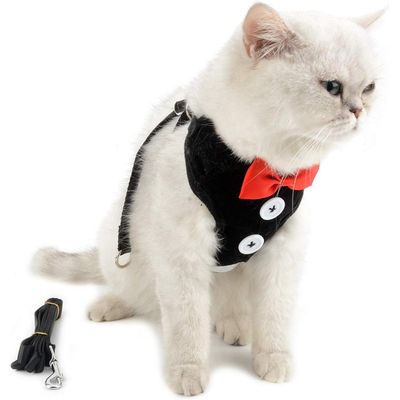 HausPets Harnais Chat Chien Laisse Réglable Gilet Respirant Noir S
