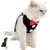 HausPets Harnais Chat Chien Laisse Réglable Gilet Respirant Noir S