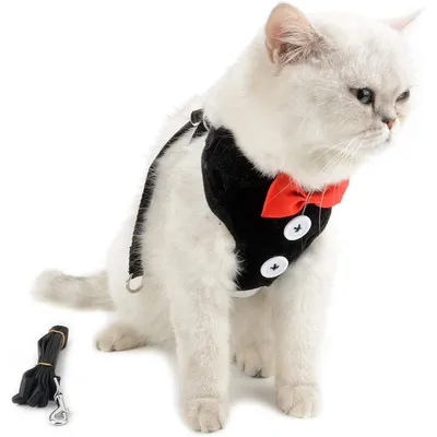 HausPets Harnais Chat Chien Laisse Réglable Gilet Respirant Noir S