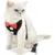 HausPets Harnais Chat Chien Laisse Réglable Gilet Respirant Noir S