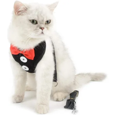 HausPets Harnais Chat Chien Laisse Réglable Gilet Respirant Noir S