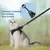 HausPets Harnais Chat Chien Laisse Réglable Gilet Respirant Noir S