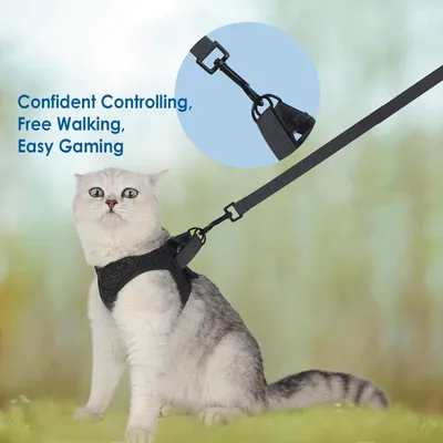 HausPets Harnais Chat Chien Laisse Réglable Gilet Respirant Noir S