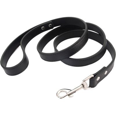 HausPets Hundeleine Nylon Robust 120cm Ergonomisch Rutschfest