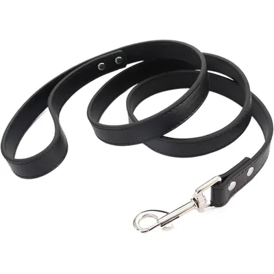 HausPets Laisse Chien Nylon Solide 120cm Ergonomique Anti-Dérapante