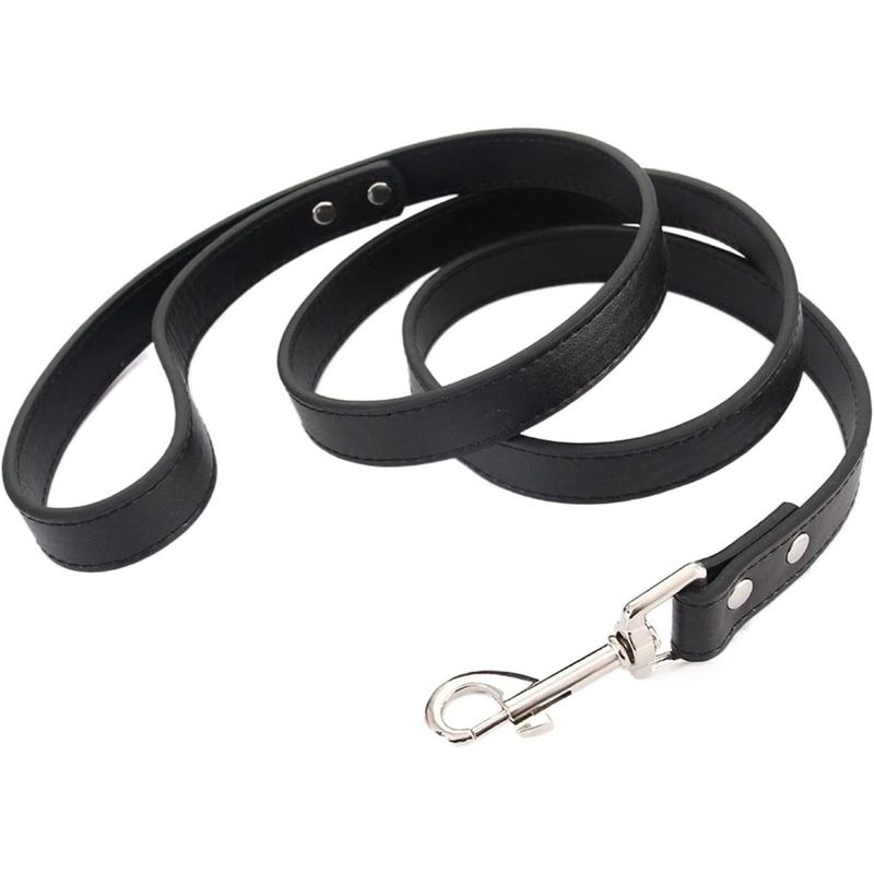HausPets Hundeleine Nylon Robust 120cm Ergonomisch Rutschfest