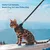 HausPets Laisse Chien Nylon Solide 120cm Ergonomique Anti-Dérapante