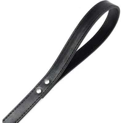 HausPets Hundeleine Nylon Robust 120cm Ergonomisch Rutschfest