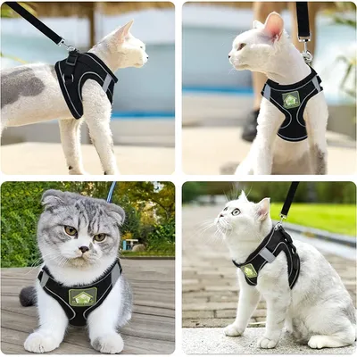 HausPets Harnais Chat Anti-Évasion Réfléchissant Respirant Noir S