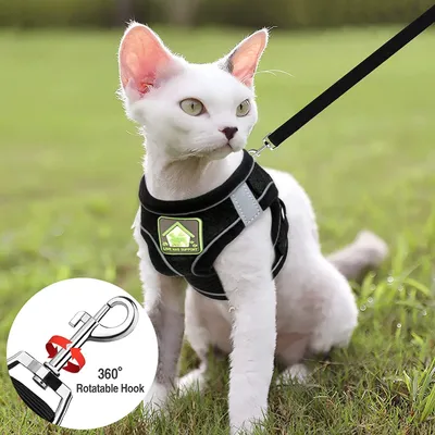 HausPets Harnais Chat Anti-Évasion Réfléchissant Respirant Noir S