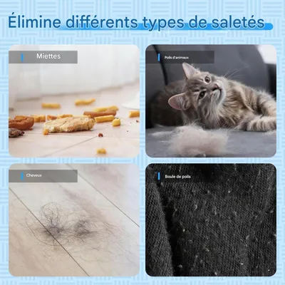 HausPets Rouleau adhésif lavable pour poils d'animaux HausPets Rouleau adhésif lavable pour poils d'animaux