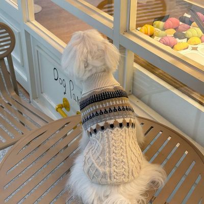 HausPets Pull Tricot Col Roulé Chien Chat Beige M Hiver Chaud