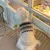 HausPets Jersey punto cuello alto color beige estampado perros gatos, talla HausPets Jersey punto cuello alto color beige estampado perros gatos, talla
