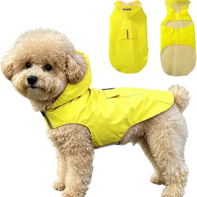 HausPets Impermeable reflectante amarillo para perros, talla M
