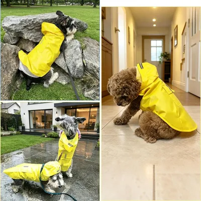 HausPets Impermeable reflectante amarillo para perros, talla M