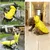 HausPets Impermeable reflectante amarillo para perros, talla M